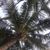 Jana Leonhardt's profile image