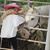 Jenny Pollman's profile image