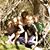 Shirley McKillop Wieman's profile image