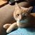Leanne G Singleton's profile image