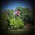 Virginia Walsh Pruitt's profile image