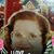 Sandra Campbell-Plitt's profile image