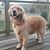 Jacquie Goodwill's profile image