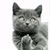 Dean Joyce's profile image