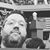 Adam Frisby's profile image