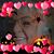 Carol Lefebvre's profile image