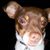 Derek Lindquist's profile image