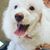 Sue Gaddam's profile image