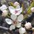 Linda Spinosa's profile image