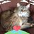 Donna Carey's profile image