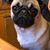 Terri Kragness's profile image