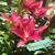 Peggy Gaube Confer's profile image