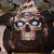 Dave Fink's profile image