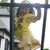 Jessica Collins's profile image