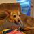 Robert Curtis's profile image