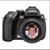 Wendy Hutchins's profile image