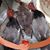 Walter Lynn Jr.'s profile image