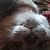 Donna Duvall's profile image