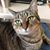 Stacia Hand's profile image