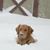 Denise McKinney Arnold's profile image