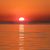 April Burney's profile image