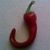 Judy Ali-Khodja's profile image