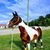 Wendie Portugal's profile image