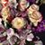 Debbie Myles Clark's profile image