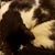 Shelby Dubois's profile image