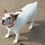 Joanne West's profile image