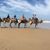 Gail Foust Winterfeld's profile image