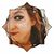 Amie Olson's profile image
