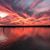 Kimberly K Tillman's profile image