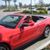 Elizabeth Schafer Serra's profile image