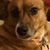 Heather Hicks's profile image