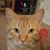 Stacy J. Seymour's profile image