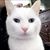 Jennifer Boutwell's profile image