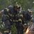 Joe Raff's profile image