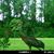 Liz Santomauro Riepe's profile image