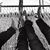 Dawn Doubleday Wayland's profile image