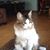 Phyllis Beil's profile image