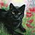 Judy Hansen's profile image