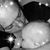 Julita Campos's profile image