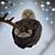 Tammy Garner's profile image
