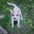 Gina Stephens's profile image