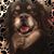 Howard Crane's profile image