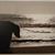 Lisa J Hassinger's profile image