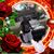 Raymond J Huertas's profile image