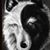 Janet S Rains's profile image