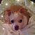 Patty Garcia's profile image